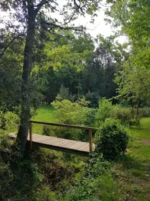 Beautiful studio surrounded by nature - Image 5