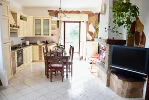 Bougainvillea - Image 4