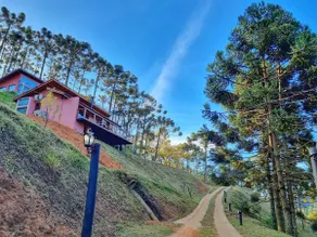 Araucárias Deck - Image 4