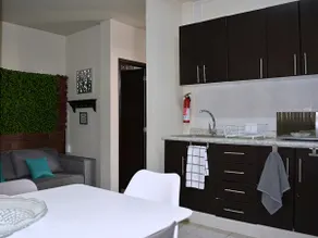Mexico City Condo,Modern Furniture,2Baths,Parking! - Image 4