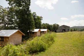 River Perch Glamping at Paint Rock Farm # 3 - Image 5