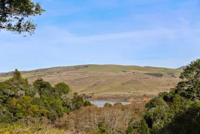 Baytree Cottage | Beautiful Stay w/ Amazing Views - Image 5