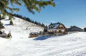 Apartment Jezerca - Krvavec with sauna - Image 3