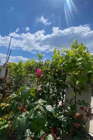 Chalkidiki Golden Villa - Image 3