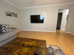 Comfy/Arcade/Cedar Pt/Kalahari/Summit Ra/Cornhole - Image 4