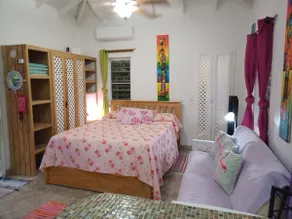 PINKSHACK STUDIO COTTAGE IN JUNGLE THEMED PATIO GARDEN - Image 4