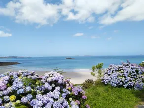 Charming house 400 m from a wild beach - Image 4