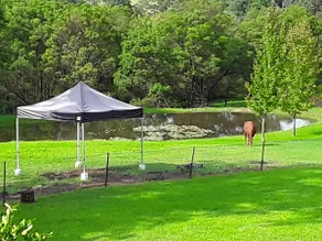 Grose Vale near Bilpin Tranquil cottage on acres - Image 4