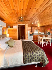 Cozy Bear Cabin #4 - Image 4