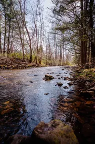 Creekside Cabin - Pet Friendly - Image 4