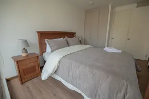 1D+1B apartment in downtown Concepción - Image 4