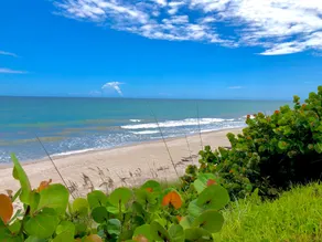 Sea Owl Suite 3, stile Oceanfront e serenità a Melbourne Beach! - Image 3