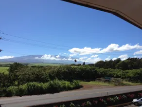 Maui Tropical House - Image 3