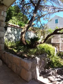 Amazing 4-room house next to the sea, free parking - Image 5