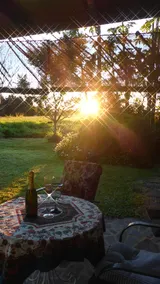 Wompoo Cottage close to Lake Eacham - Image 5