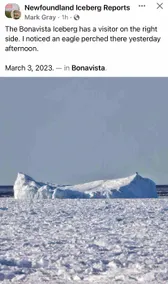 Bonavista’s East Coast Cottage - Image 4