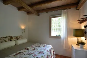 Green Lodge surrounded by the greenery of the countryside - Image 2