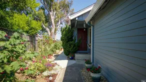 NAPA Wine Country - Image 2