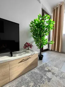 SOHO Apartment - City View with Rooftop Garden - Image 4