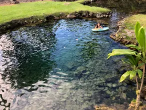 Wai 'Olena - ”Healing Ponds” - Image 5