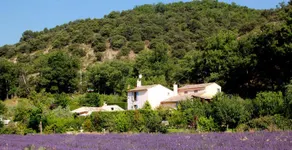 Le Jas - Superb cottage in Provencal property - Image 5