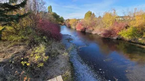 The Last Acre · Riverfront Near Glacier · Sleeps 8 - Image 3