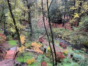Creekside Zen Writer's Cabin, Hottub, Tearoom - Image 3