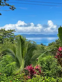 Big Jungle House - Oceanview/WiFi/Aircon - Image 3