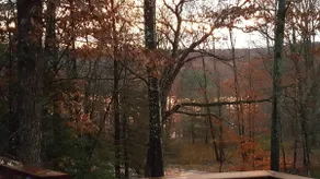 Catskills Aframe, Water View, Goat Sanctuary - Image 4