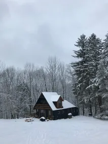 Cabin@Crow Hill: unplug and reconnect with nature - Image 5