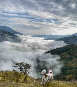 House with an Incredible View - 7 nights 15% off - Image 2