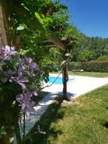 QUINTA DA RIBEIRA - Image 2