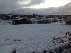Comerford Hall B & B Tenterfield - Image 5