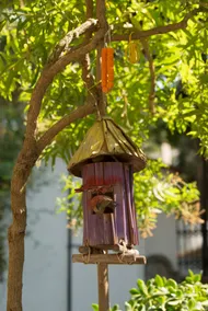 Sani Traditional Villa - Image 2