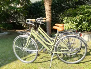 Garden in the olive trees -2 citybikes-bike storage - Image 3