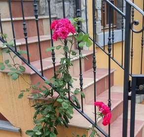 Home in Wild Garfagnana - Image 5