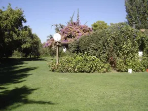 BEAUTIFUL PLOT IN PIRQUE - Image 3