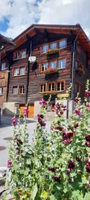 4 people vacation home Alpensonne in Reckingen - Image 3