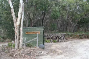 The Shed Bed - Image 3