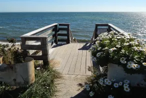 P-Town 2br Beach Beauty on the Bay. Water View! - Image 5