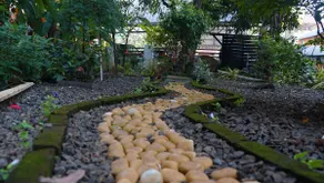 Sowparnika - A Family Home Experience - Image 3