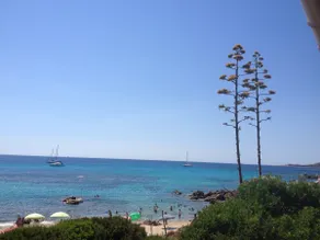 Lejlighed beliggende overfor havet, på stranden af ​​Tizzano Korsika syd - Image 4