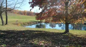 Redbud Cabin-Hocking Hills (Fishing Available) - Image 5