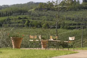 Tenuta il Cerro - Image 3