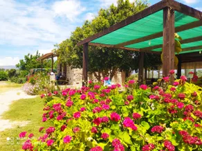 Villa Chloe - Image 4