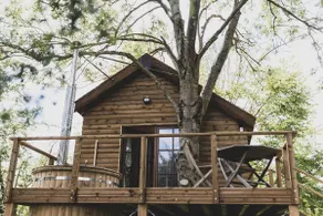 Romantic Woodland Chalet - Image 5