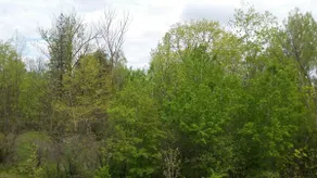 Turnkey, beautiful ravine townhouse in Toronto/GTA - Image 5