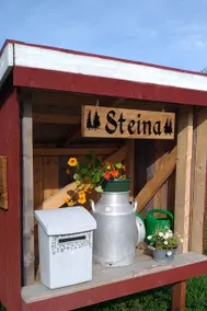 Steina - Image 3