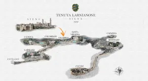 Colombina, in the middle of olive groves just 5 km from Siena - Image 3