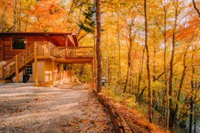A True ”Mountain Cabin” with all the Amenities! - Image 3